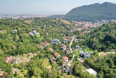 Teren intravilan Brasovul Vechi - 7