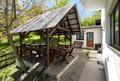 Pensiune:3 km de Castelul Bran,2.900mp teren,piscina,ciubar,teren sport,aviz ISU - 19