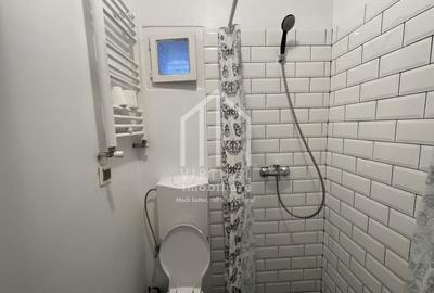 Afacere la cheie, 3 apartamente la casa, singur in curte - Central - 18