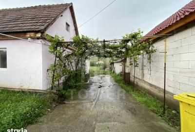 Casă cu 3 camere cu Teren 980 Mp în Central - 10