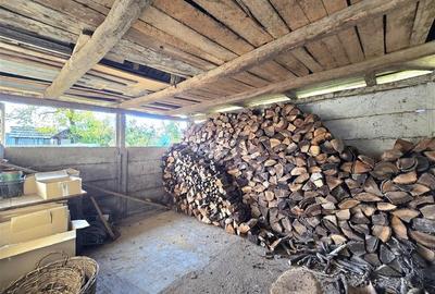 CASA 3 CAMERE + LIVING | 1790 MP TEREN | SAT RAPA | BIHOR - 28