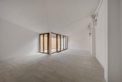 Spațiu comercial, de 50 mp, în Parcul Carol - 1