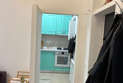 Apartament cu 2 camere semidecomandat în Parcul Carol - 7