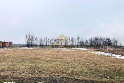 Spațiu comercial, în Siretu - 6