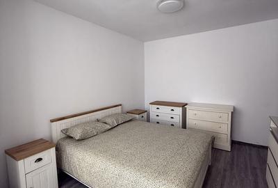 Apartament cu 2 camere decomandat în Turnișor - 5