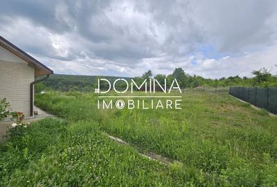 Casă individuală cu 3 camere cu Teren 3332 Mp în Bălănești - 8