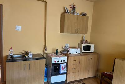 Casa individuala, in cartierul Lazaret cu bucatarie de vara,terasa si acces auto - 11