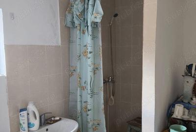 De vanzare casa la Romanesti comuna Rosiile - 6