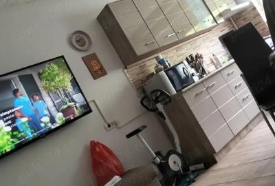 Vand apartament 2 camere cartier Sanicolau Mic Arad - 4