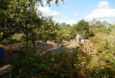 Calugareni-Branistari-casa 4 camere, teren 1965 mp, curent, put, libera,69900 € - 29