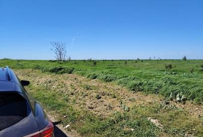 Teren agricol extravilan de 40000 mp, în Central - 7