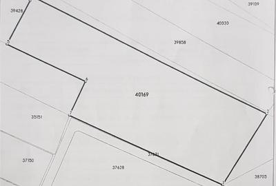 Teren Construcții intravilan de 2950 mp, în Olteni - 1