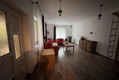 Casa Singur in Curte 160 mp teren 1600 mp - 3