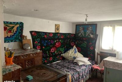Casă cu 3 camere cu Teren 7600 Mp în Putna - 8