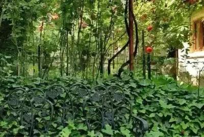 Casă cu 6 camere cu Teren 450 Mp în Aluniș - 7