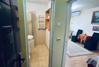 Garsonieră decomandată în Sub Arini - 4