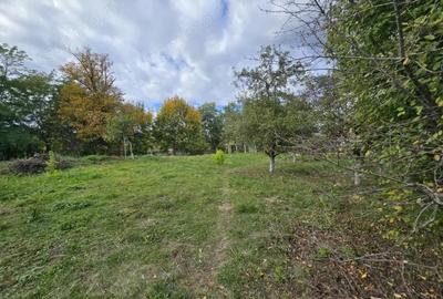 Casa Centrala Curtea de Arge?, Teren 2.211 mp - 11