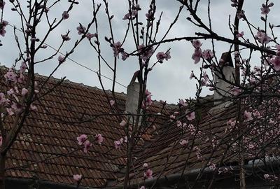 Casă cu 5 camere cu Teren 2200 Mp în Coșdeni - 3