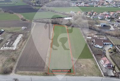 Teren Construcții intravilan de 5000 mp, în Stupini