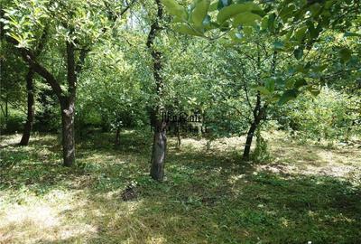 Casă cu 5 camere cu Teren 605 Mp în Central - 16