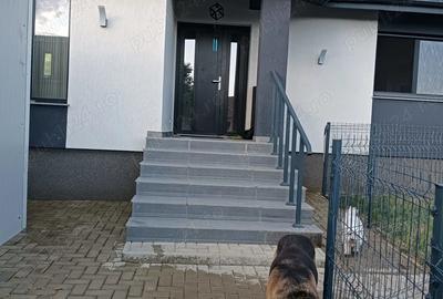 Vand casa in Tomesti, Iasi - 3