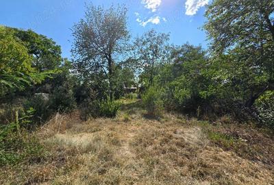 Casă cu 6 camere cu Teren 2000 Mp în Săvinești - 10