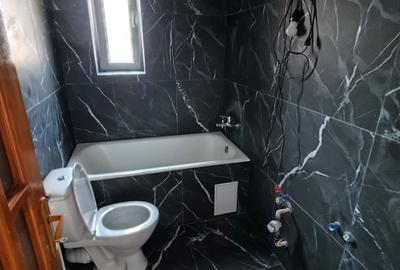 Garsonieră decomandată în Iosefin - 5