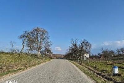 Teren de 1931 mp, în Nădrag - 6