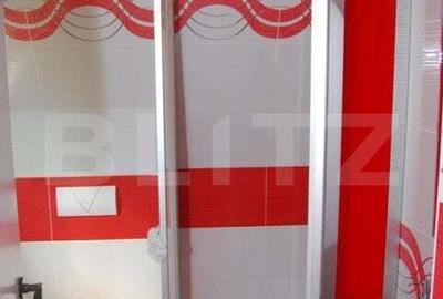 Spațiu comercial, de 208 mp, în Boghiș - 15