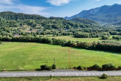 Cheile Rasnoavei DN73A, teren extravilan 3.000 mp, zona de vis, ideal investitie - 4