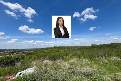 Lugoj Teren 8.200 Mp., Dealul Viilor, Priveliste Impresionanta - 16