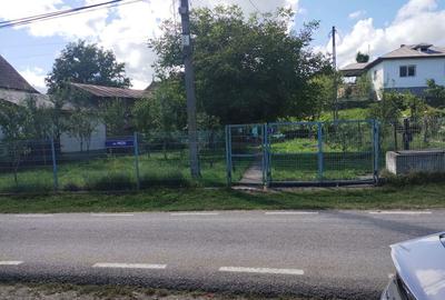Casă în Aluniș - 3