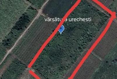 Teren de 5400 mp, în Vânători - 3