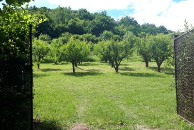 Teren extravilan  de vanzare | 4288 mp | in Gusterita - 1