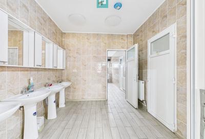 Teren 9.419 mp + hale 7.000 mp – Huși, Vaslui - 12