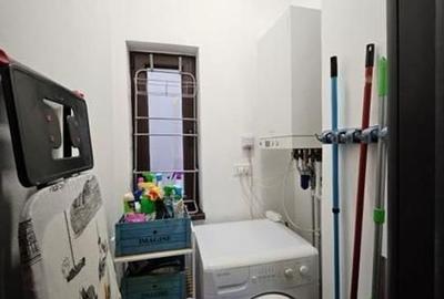 Apartament spațios 3 camere, etaj 1 vilă, pet friendly, Ferdinand - 6
