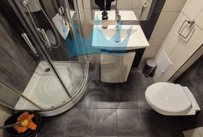 Apartament 2 Camere Nerva Traian - 9