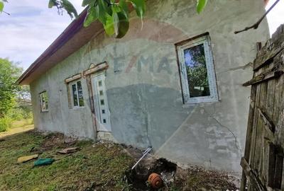 Casă cu 4 camere cu Teren 1440 Mp în Mișca - 3