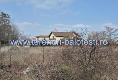 Teren Balotesti,vecinatate Dn1 Bucuresti Ploiesti,utilitati 600mp - 10