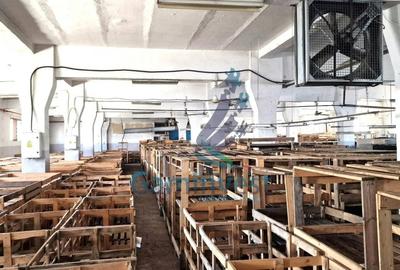 Spațiu industrial, 5000 mp în Tokai - 2