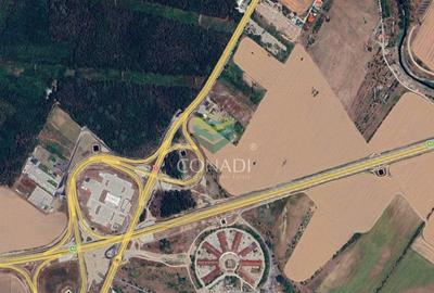 Teren Construcții intravilan de 5933 mp, în Jilava - 1