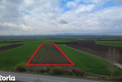 Teren de 5000 mp, în Ozun