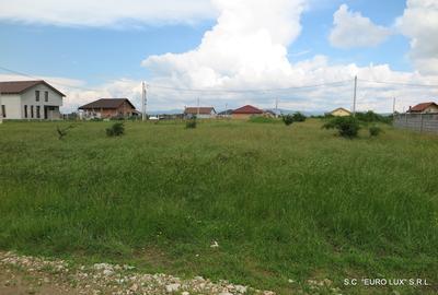 Teren de 500 mp, în Cicir - 3
