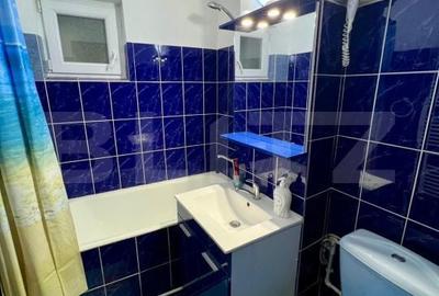 Apartament cu 2 camere semidecomandat în Brazda lui Novac