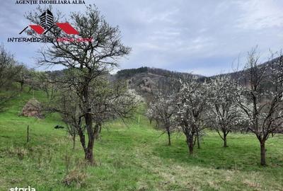 Spațiu comercial, în Valea Vințului