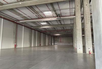 Spatiu de depozitare si productie centru logistic Chitila-Buftea - 1