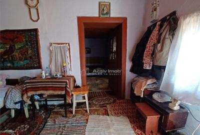Casa Giurgiu- Ghimpati Sat Bila - 13