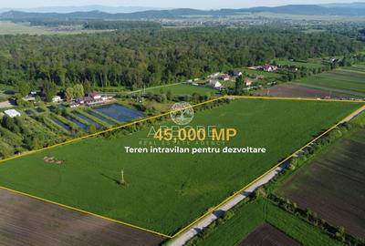 Teren Construcții intravilan de 45000 mp, în Prejmer - 2