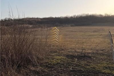 Spațiu comercial, în Sigmir - 7