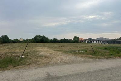 Ocazie! Teren 6.000 mp cu toate utilitățile – Săcălaz, zonă excelentă - 4